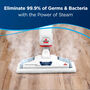 Powerfresh Deluxe Steam Eliminates 99.9% Bacteria